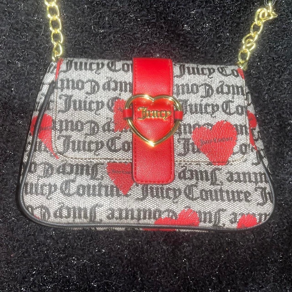 Juicy Couture Purse